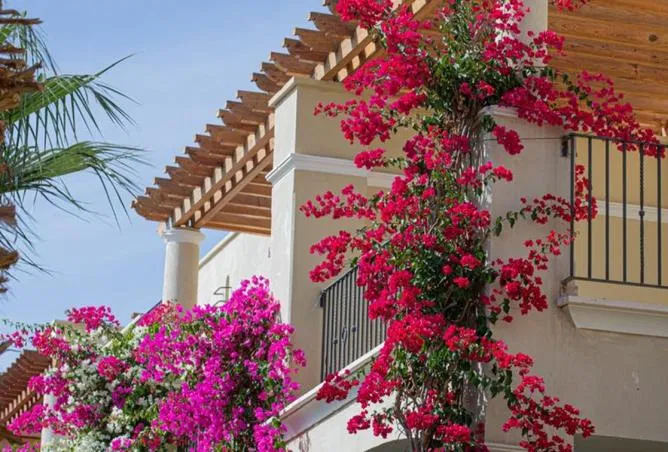 شقة 54 م² للبيع في Sahl Hasheesh Resort