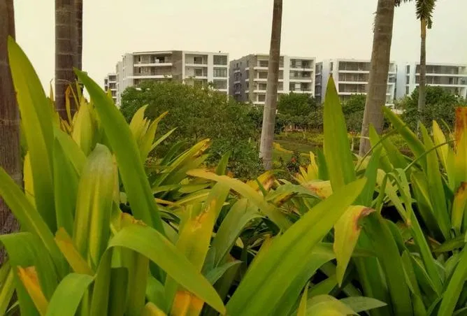 2-bedroom apartment 117 m² for sale in Taj City