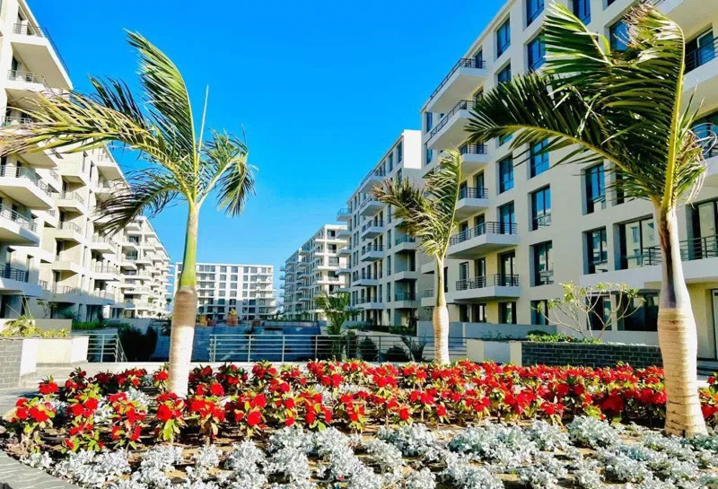 4-bedroom apartment 233 m² for sale in Palm Hills