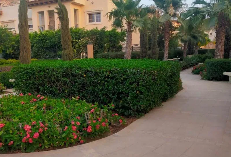 4-bedroom townhouse 215 m² for sale in Hyde Park