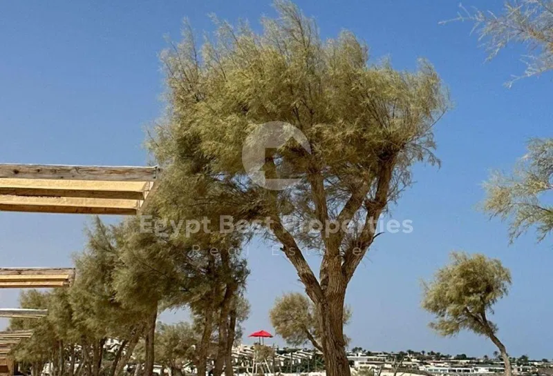 فيلا 4 غرف 320 م² للبيع في Swan Lake North Coast