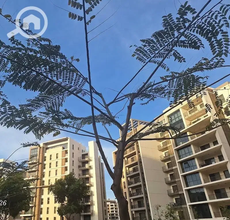 Investment opportunity Deliverd Studio for sale in Zed West Sheikh Zayed